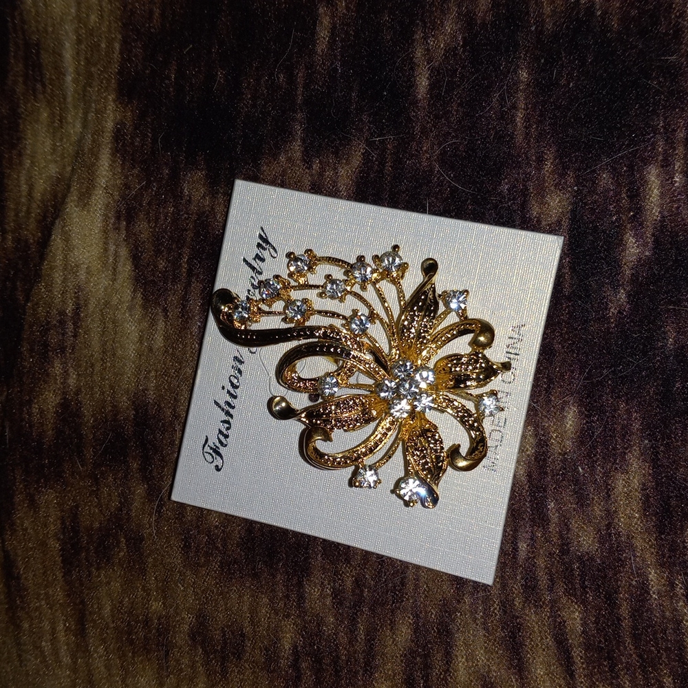 Fashion jewelry  pin. Fancy